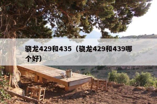 骁龙429和435（骁龙429和439哪个好） 第1张