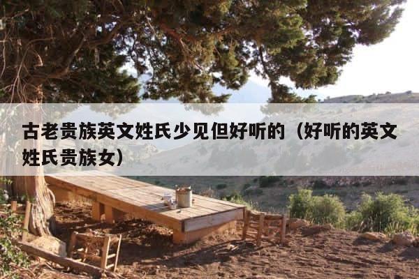 古老贵族英文姓氏少见但好听的（好听的英文姓氏贵族女） 第1张