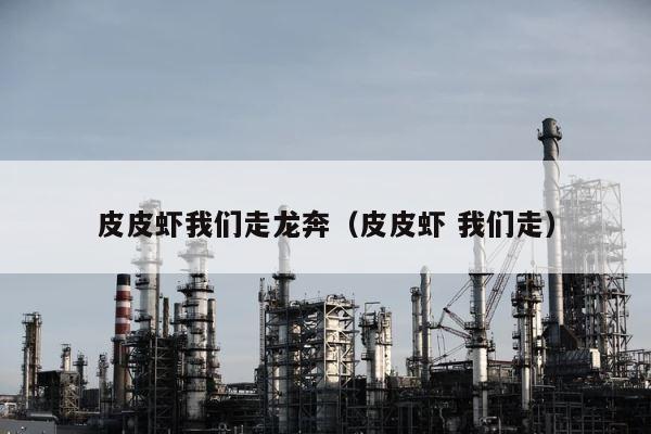 皮皮虾我们走龙奔（皮皮虾 我们走） 第1张