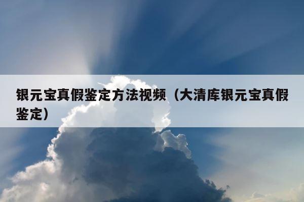 银元宝真假鉴定方法视频（大清库银元宝真假鉴定） 第1张