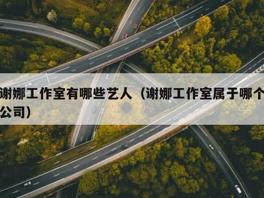 谢娜工作室有哪些艺人（谢娜工作室属于哪个公司） 第1张