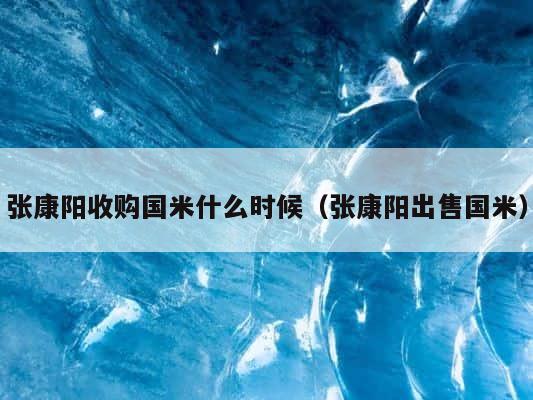 张康阳收购国米什么时候（张康阳出售国米） 第1张