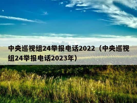 中央巡视组24举报电话2022（中央巡视组24举报电话2023年） 第1张