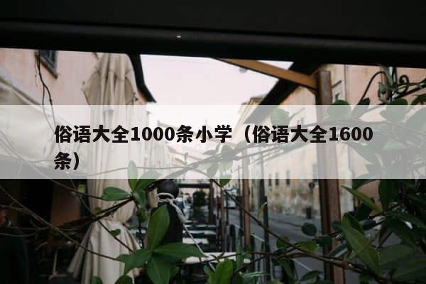 俗语大全1000条小学（俗语大全1600条） 第1张