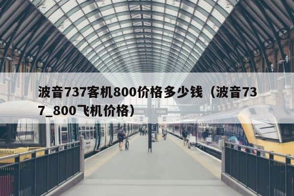波音737客机800价格多少钱（波音737_800飞机价格） 第1张
