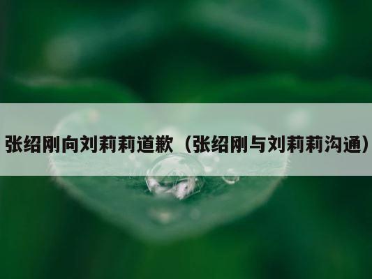 张绍刚向刘莉莉道歉（张绍刚与刘莉莉沟通） 第1张
