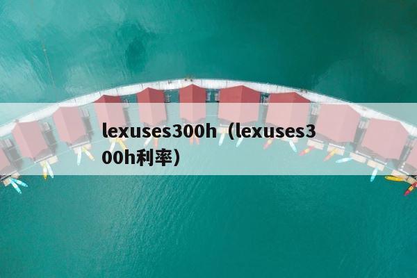 lexuses300h（lexuses300h利率） 第1张