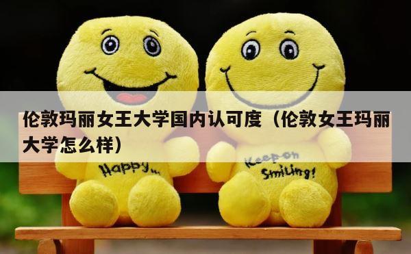 伦敦玛丽女王大学国内认可度（伦敦女王玛丽大学怎么样） 第1张