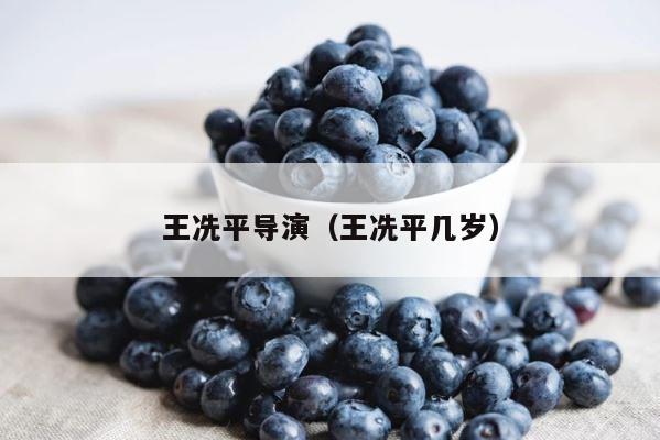 王冼平导演（王冼平几岁） 第1张