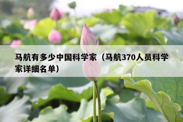 马航有多少中国科学家（马航370人员科学家详细名单） 第1张