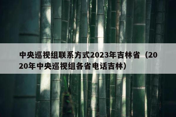 中央巡视组联系方式2023年吉林省（2020年中央巡视组各省电话吉林） 第1张