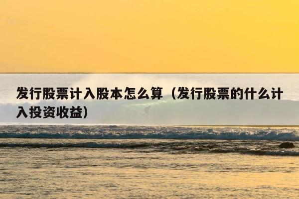 发行股票计入股本怎么算（发行股票的什么计入投资收益） 第1张