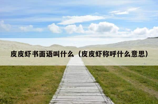 皮皮虾书面语叫什么（皮皮虾称呼什么意思） 第1张