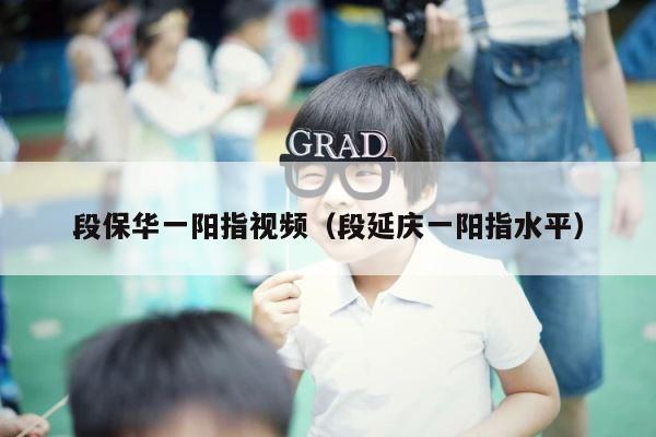 段保华一阳指视频（段延庆一阳指水平） 第1张
