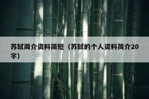 苏轼简介资料简短（苏轼的个人资料简介20字） 第1张