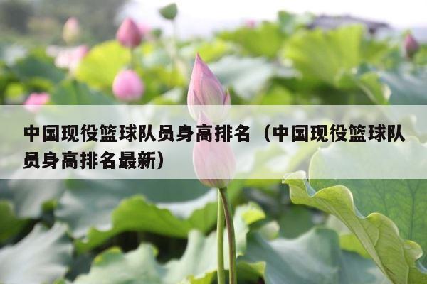 中国现役篮球队员身高排名（中国现役篮球队员身高排名最新） 第1张