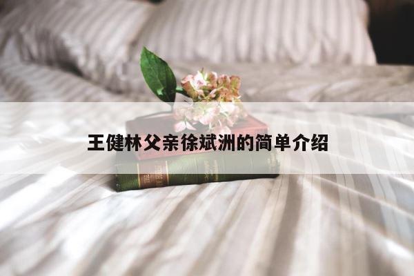 王健林父亲徐斌洲的简单介绍 第1张