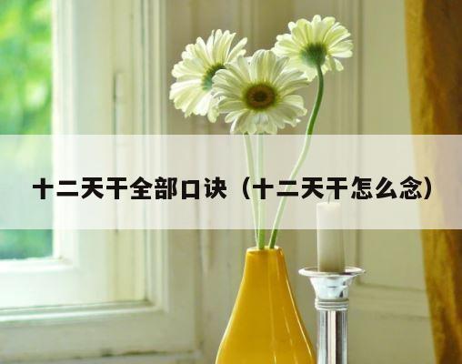 十二天干全部口诀（十二天干怎么念） 第1张