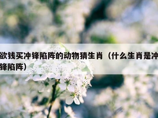 欲钱买冲锋陷阵的动物猜生肖（什么生肖是冲锋陷阵） 第1张