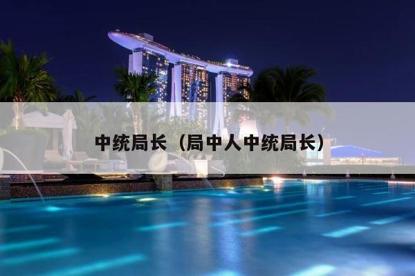 中统局长（局中人中统局长） 第1张