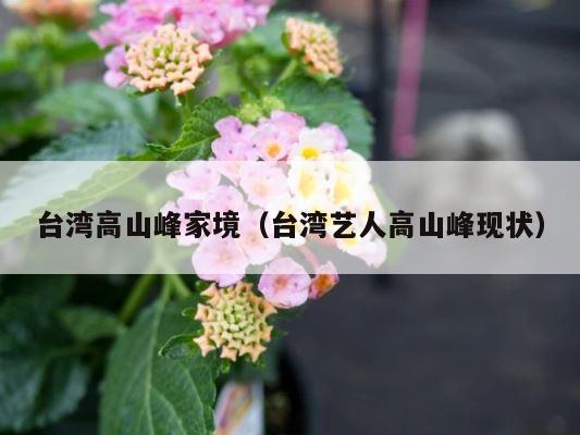 台湾高山峰家境（台湾艺人高山峰现状） 第1张