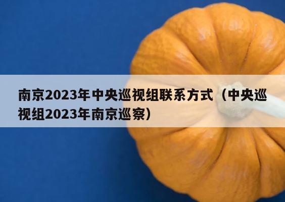 南京2023年中央巡视组联系方式（中央巡视组2023年南京巡察） 第1张