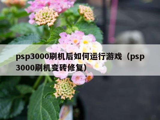psp3000刷机后如何运行游戏（psp3000刷机变砖修复） 第1张