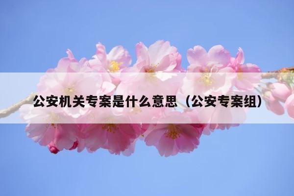 公安机关专案是什么意思（公安专案组） 第1张