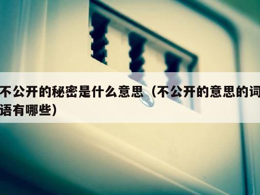 不公开的秘密是什么意思（不公开的意思的词语有哪些） 第1张