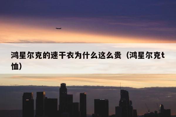 鸿星尔克的速干衣为什么这么贵（鸿星尔克t恤） 第1张