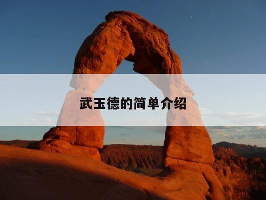 武玉德的简单介绍 第1张