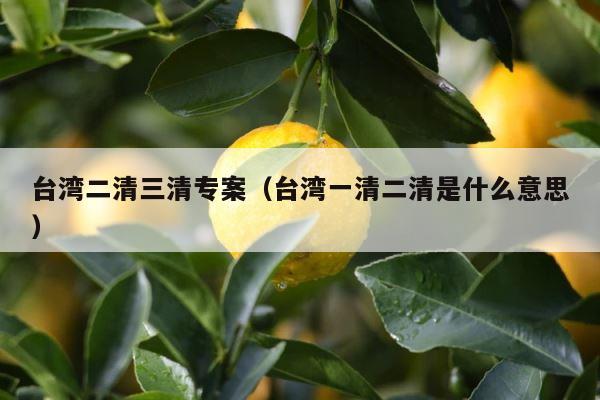 台湾二清三清专案（台湾一清二清是什么意思） 第1张