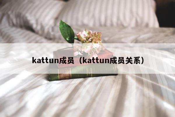 kattun成员（kattun成员关系） 第1张