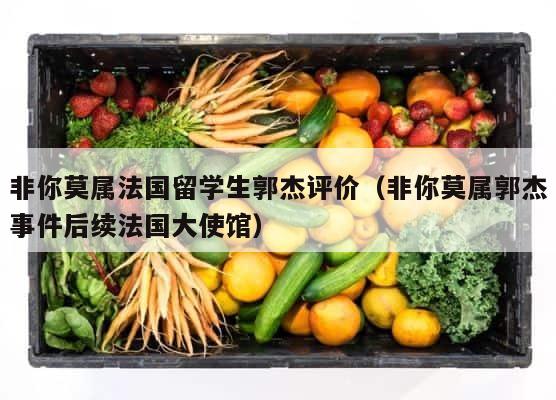 非你莫属法国留学生郭杰评价（非你莫属郭杰事件后续法国大使馆） 第1张