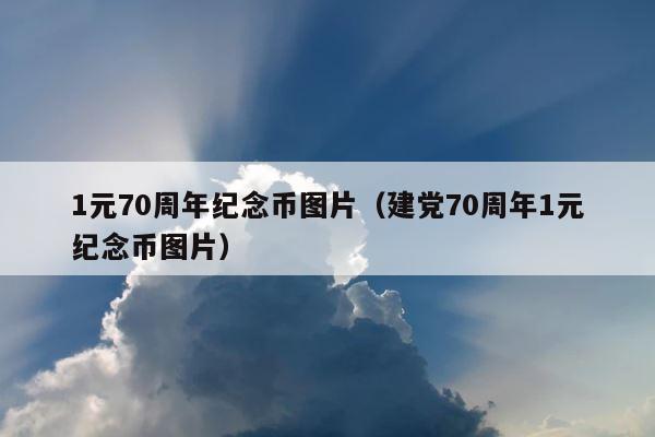 1元70周年纪念币图片（建党70周年1元纪念币图片） 第1张