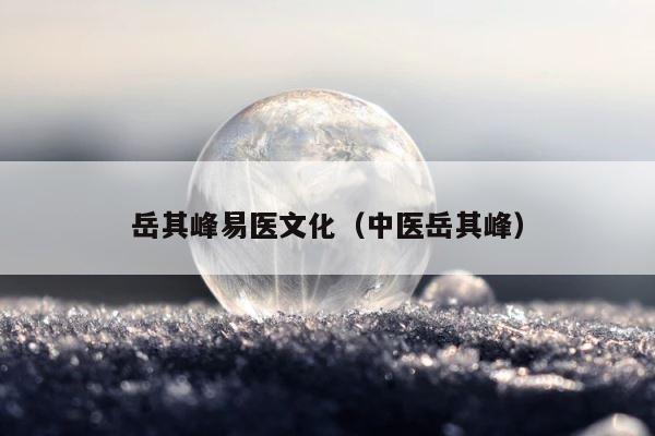 岳其峰易医文化（中医岳其峰） 第1张