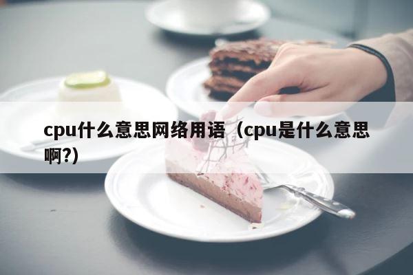 cpu什么意思网络用语（cpu是什么意思啊?） 第1张