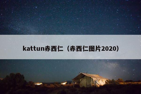 kattun赤西仁（赤西仁图片2020） 第1张