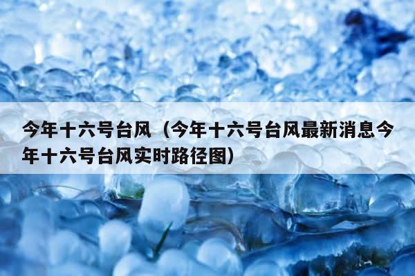 今年十六号台风（今年十六号台风最新消息今年十六号台风实时路径图） 第1张