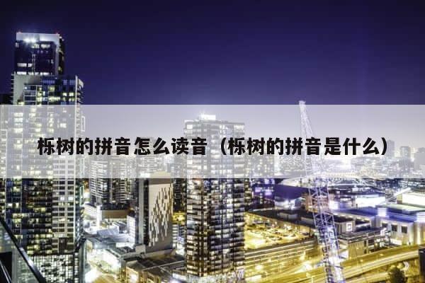 栎树的拼音怎么读音（栎树的拼音是什么） 第1张