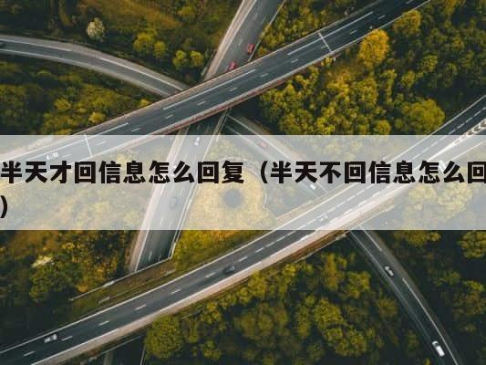 半天才回信息怎么回复（半天不回信息怎么回） 第1张