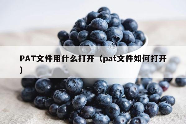 PAT文件用什么打开（pat文件如何打开） 第1张
