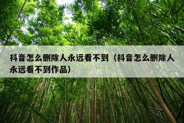 抖音怎么删除人永远看不到（抖音怎么删除人永远看不到作品） 第1张