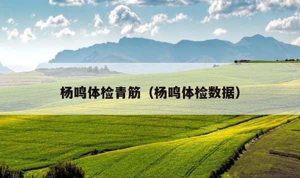 杨鸣体检青筋（杨鸣体检数据） 第1张