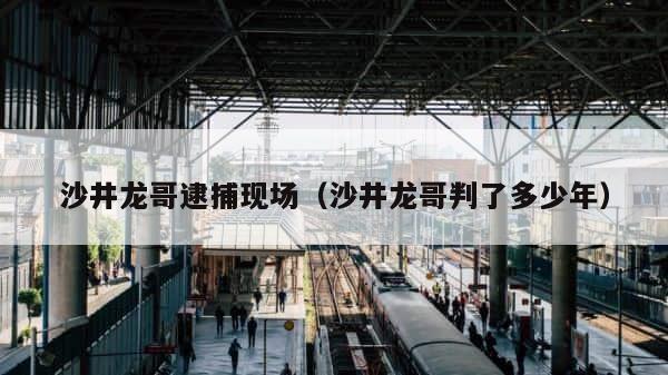 沙井龙哥逮捕现场（沙井龙哥判了多少年） 第1张
