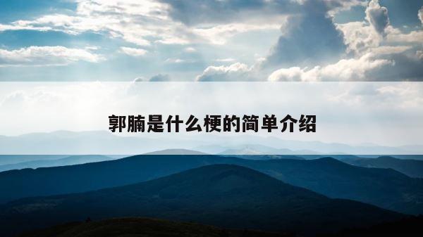 郭腩是什么梗的简单介绍 第1张