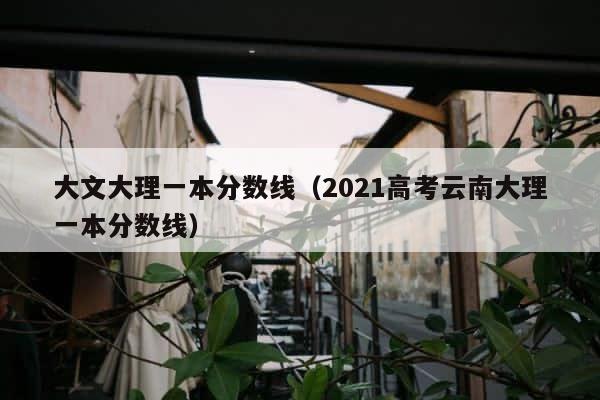大文大理一本分数线（2021高考云南大理一本分数线） 第1张