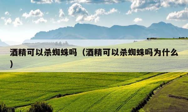 酒精可以杀蜘蛛吗（酒精可以杀蜘蛛吗为什么） 第1张