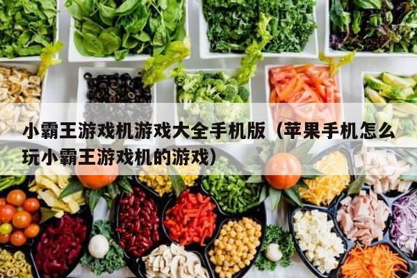 小霸王游戏机游戏大全手机版（苹果手机怎么玩小霸王游戏机的游戏） 第1张