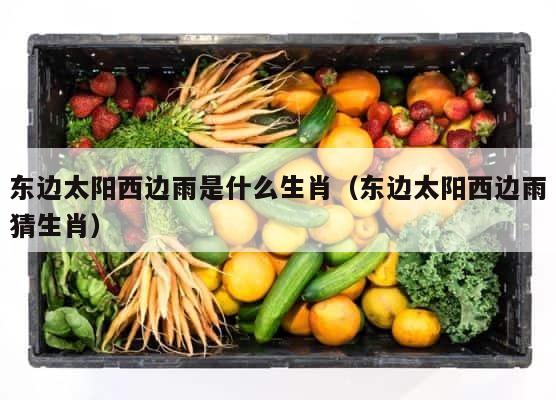 东边太阳西边雨是什么生肖（东边太阳西边雨猜生肖） 第1张